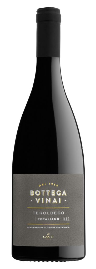 Teroldego Rotaliano Doc Bottega Vinai 2012