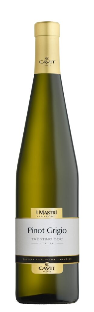 Pinot Grigio Trentino DOC Mastri Vernacoli 2025 Cavit