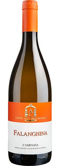 Falanghina Igt Campania 2022