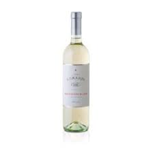 Sauvignon Blanc Trevenzie IGT Casa Lunardi 2024 Riondo